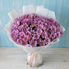 Букет цветов из:  Хризантемы в Десногорске