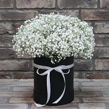 Цветочная композиция из Гипсофила в шляпной коробке в Десногорске