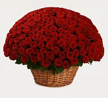 Премиум букет из: Розы в Десногорске